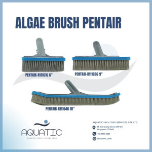 PENTAIR POOL ALGAE BRUSH